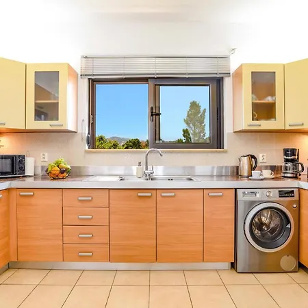 Alnika Azalea By Lakhania