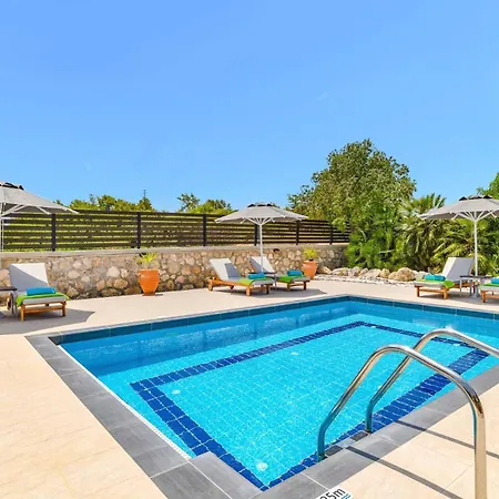 Willa Alnika Azalea By Lakhania