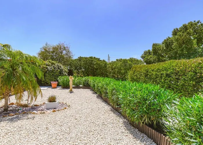 Alnika Azalea By 라카니아